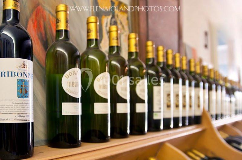 Domaine De Ribonnet - galerie - photo 3