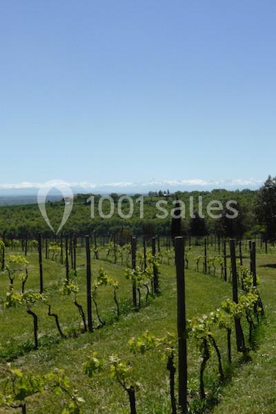 Domaine De Ribonnet - galerie - photo 10