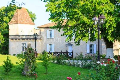 Château Maison Noble St Martin - photo 1