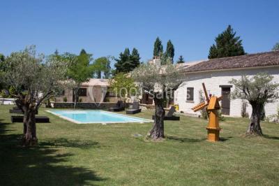 Château Maison Noble St Martin - photo 4
