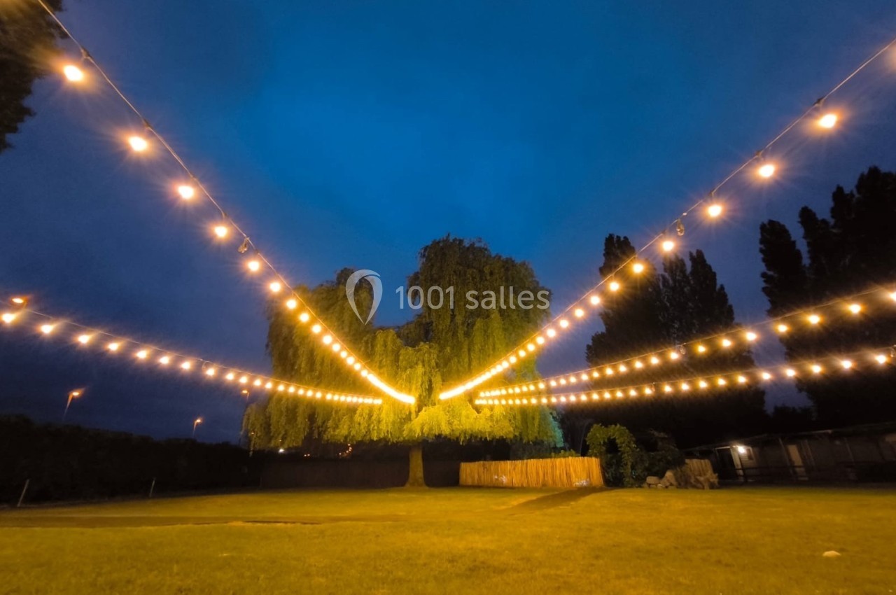 Guirlandes lumineuses suspendues au-dessus d'une pelouse, avec un grand arbre et un ciel crépusculaire en arrière-plan.
