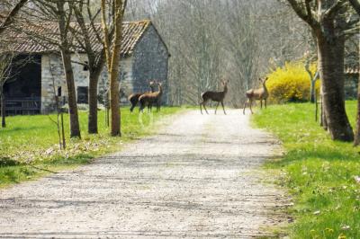 Location salle Saint-Martory (Haute-Garonne) - Château de Saint Martory #27