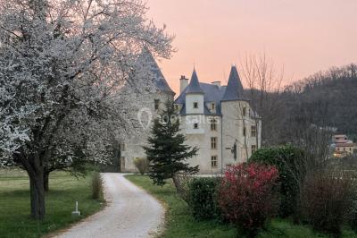Location salle Saint-Martory (Haute-Garonne) - Château de Saint Martory #27
