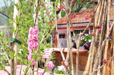 Miniature Location salle Giverny (Eure) - La Capucine #13 Location salle Giverny (Eure) - La Capucine #14