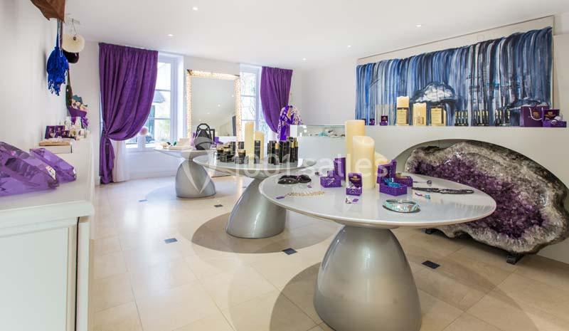 Location salle Versailles (Yvelines) - L'hôtel De Beauté #10