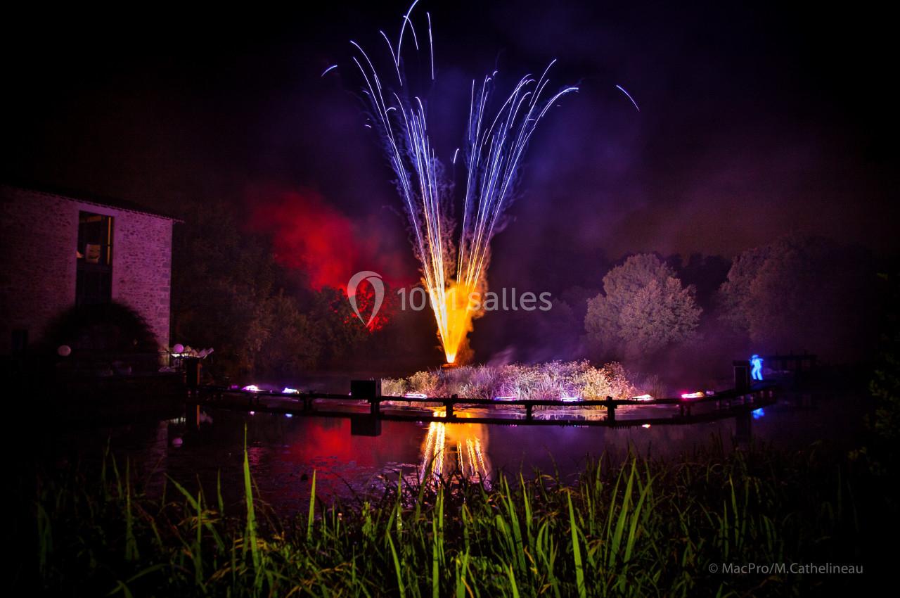 Spectacle nocturne avec des feux d'artifice illuminant un étang entouré de végétation et de lumières colorées.