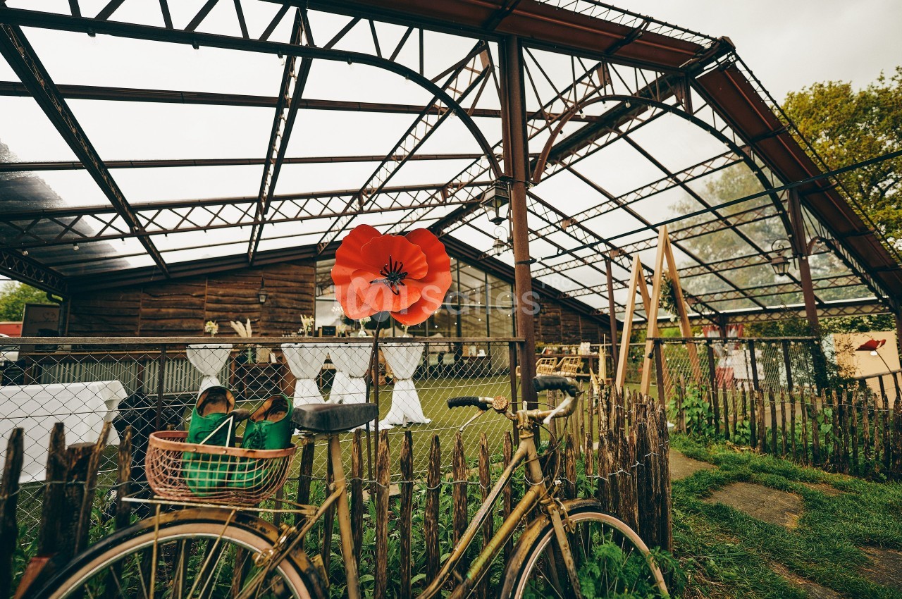 Vélo ancien appuyé contre une clôture en bois devant une serre en métal et bois avec une grande fleur décorative.