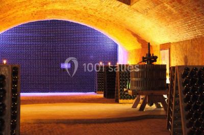 Miniature Location salle Épernay (Marne) - Château Comtesse Lafond #23 Vue nocturne d'une réception dans une tente éclairée, installée devant un bâtiment de style château.