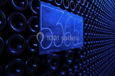 Miniature Location salle Épernay (Marne) - Château Comtesse Lafond #29 Vue nocturne d'une réception dans une tente éclairée, installée devant un bâtiment de style château.