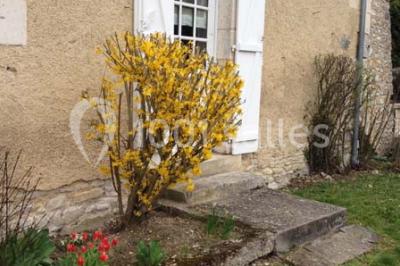 Miniature Location salle Saint-Germain-du-Puy (Cher) - La Grange Des Saveurs #12 Location salle Saint-Germain-du-Puy (Cher) - La Grange Des Saveurs #22