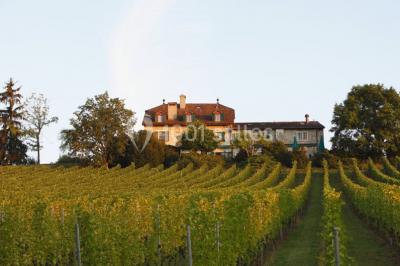 Domaine De Chateauvieux - photo 1
