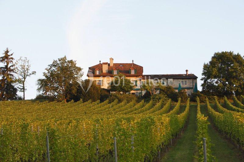 Domaine De Chateauvieux - galerie - photo 1
