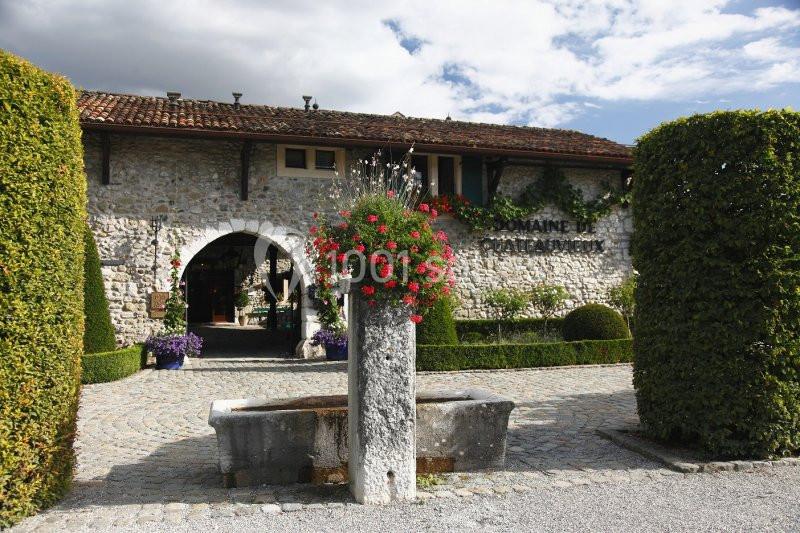 Domaine De Chateauvieux - galerie - photo 2