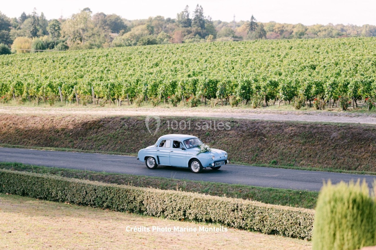 Une voiture ancienne bleue roule sur une route bordée de vignes et de haies dans un paysage champêtre.