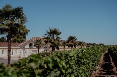 Château Larrivet Haut-Brion - photo 1