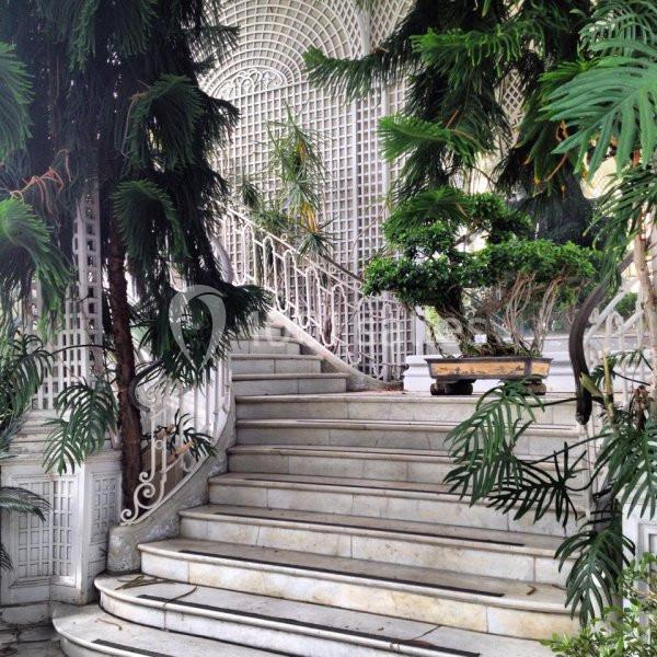 Musée Albert Kahn - galerie - photo 9