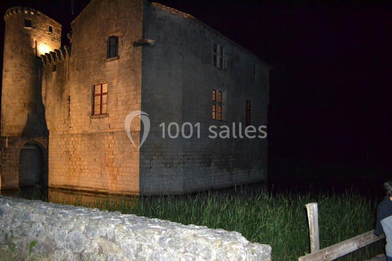 Château Saint Jean D'angle - galerie - photo 5
