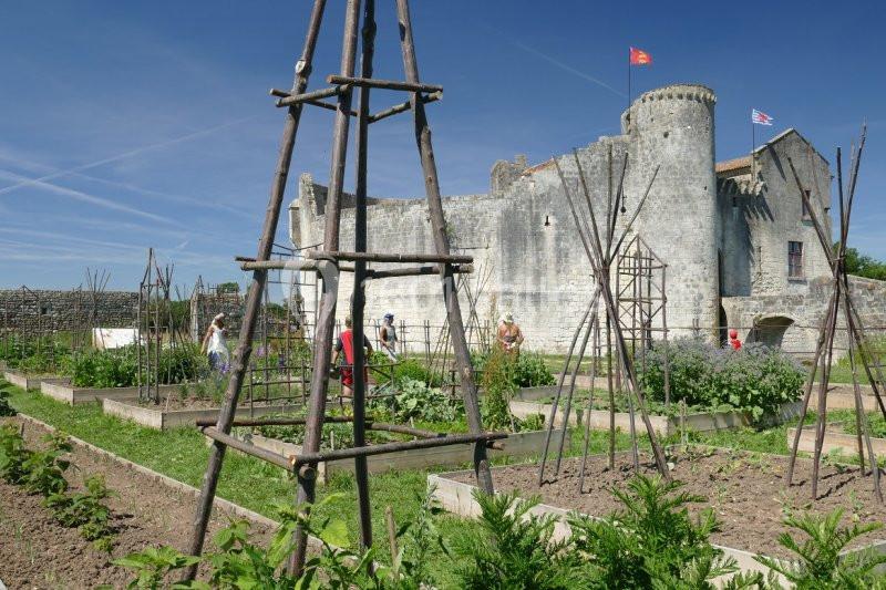 Château Saint Jean D'angle - galerie - photo 4