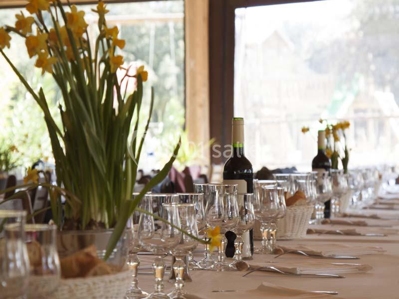 Le Lodge du Zoo de La Barben - galerie - photo 9