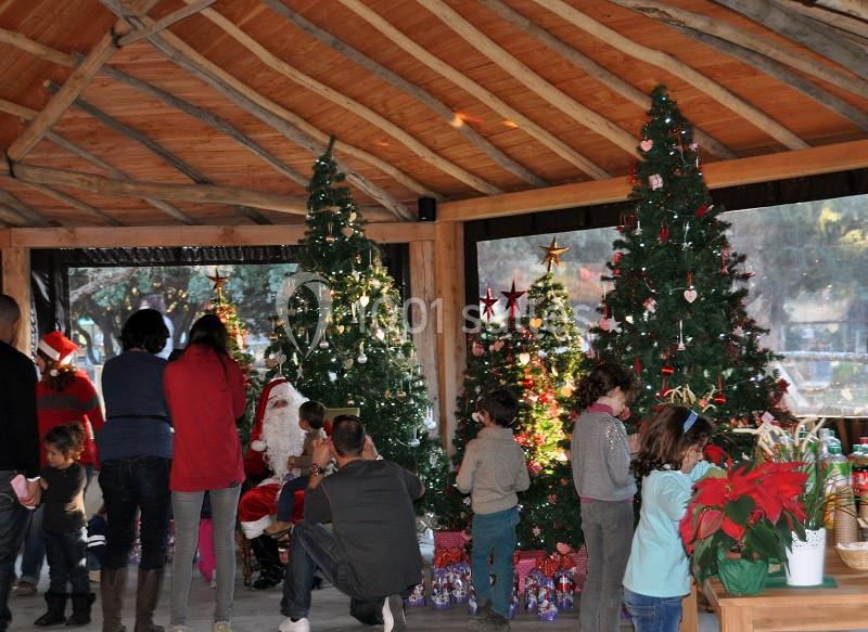Le Lodge du Zoo de La Barben - galerie - photo 12