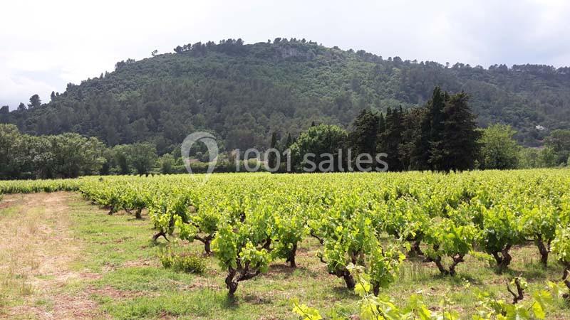 Domaine Régis Frères - galerie - photo 1