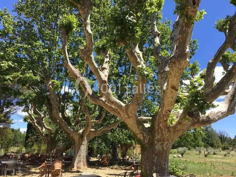 Domaine Régis Frères - galerie - photo 8