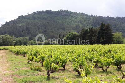 Domaine Régis Frères - photo 1