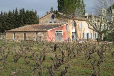 Domaine Régis Frères - photo 3