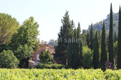 Domaine Régis Frères - photo 2