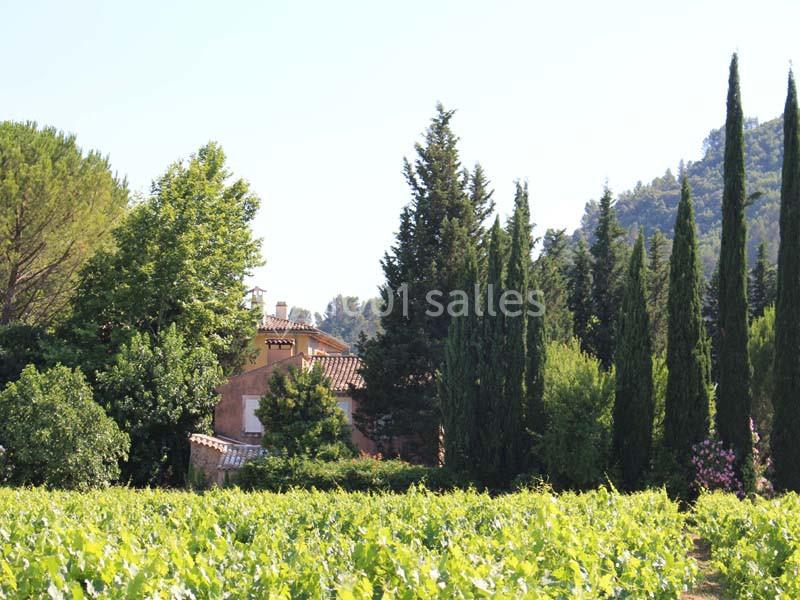 Domaine Régis Frères - galerie - photo 2