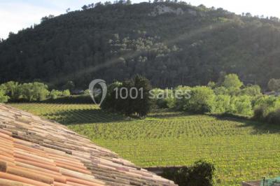 Domaine Régis Frères - photo 5