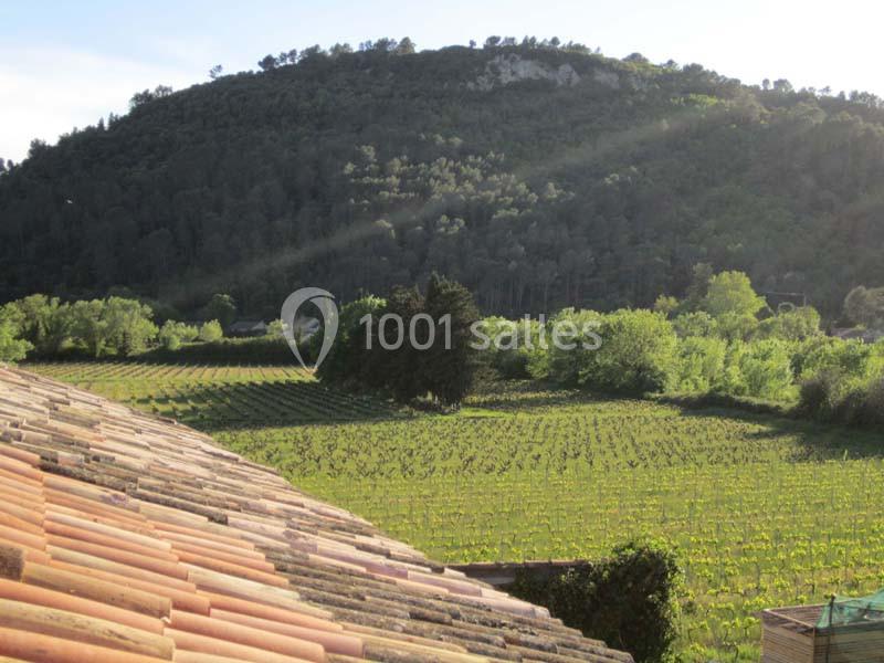 Domaine Régis Frères - galerie - photo 5