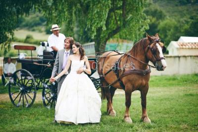 Location salle Simiane-la-Rotonde (Alpes-de-Haute-Provence) - Gite La Fontaine #24