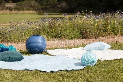 Miniature Location salle Avernes-Saint-Gourgon (Orne) - L'orangerie Du Bois #11 Location salle Avernes-Saint-Gourgon (Orne) - L'orangerie Du Bois #11