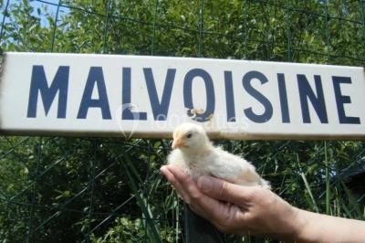Le Relais De Malvoisine - photo 3