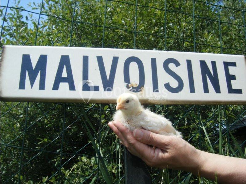 Le Relais De Malvoisine - galerie - photo 3