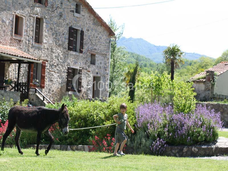 Location salle Le Tech (Pyrénées-Orientales) - Mas Manyaques #4
