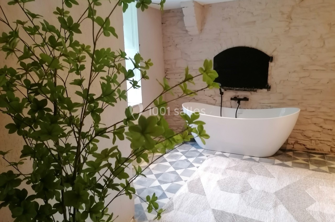 Salle de bain avec baignoire blanche, mur en pierre apparente, sol à motifs géométriques et plante verte au premier plan.