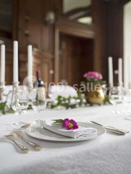 Location salle Tantonville (Meurthe-et-Moselle) - Château Ernest #10