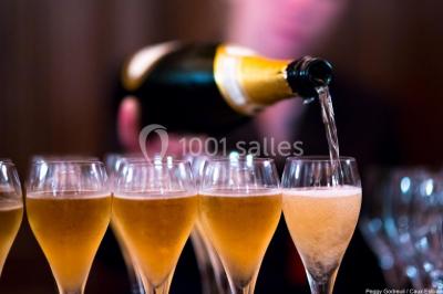 Miniature Location salle Saint-Romain-de-Colbosc (Seine-Maritime) - Château de Gromesnil #10 Pelouse verdoyante bordée d'arbres hauts sous un ciel bleu clair, avec une petite structure en briques à gauche.