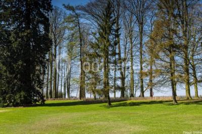 Miniature Location salle Saint-Romain-de-Colbosc (Seine-Maritime) - Château de Gromesnil #18 Pelouse verdoyante bordée d'arbres hauts sous un ciel bleu clair, avec une petite structure en briques à gauche.