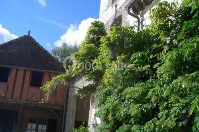 Miniature Location salle Bucey-en-Othe (Aube) - Château De Roises #5 Location salle Bucey-en-Othe (Aube) - Château De Roises #10