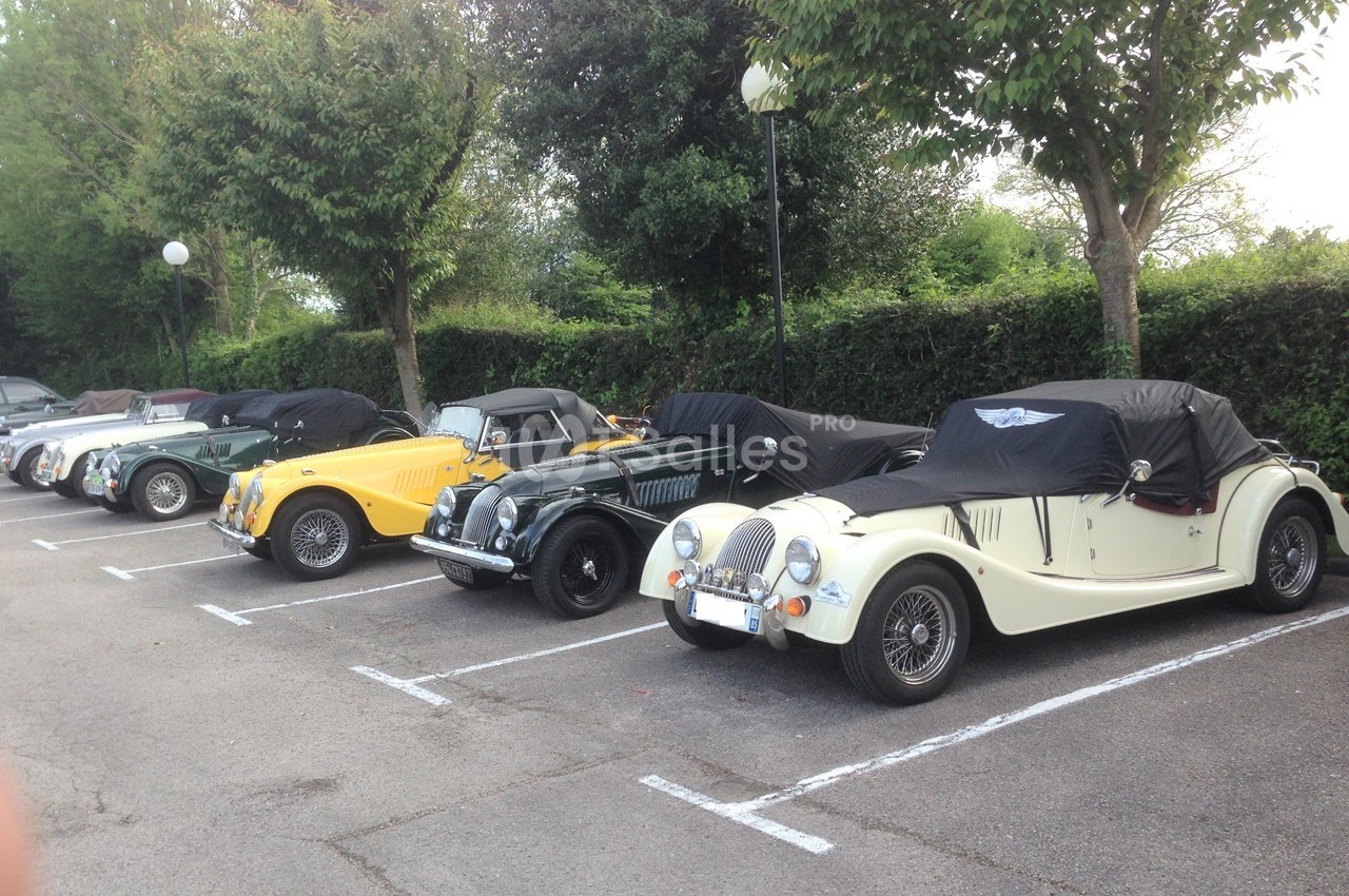 Voitures anciennes alignées sur un parking, certaines couvertes, entourées d'arbres et de végétation.