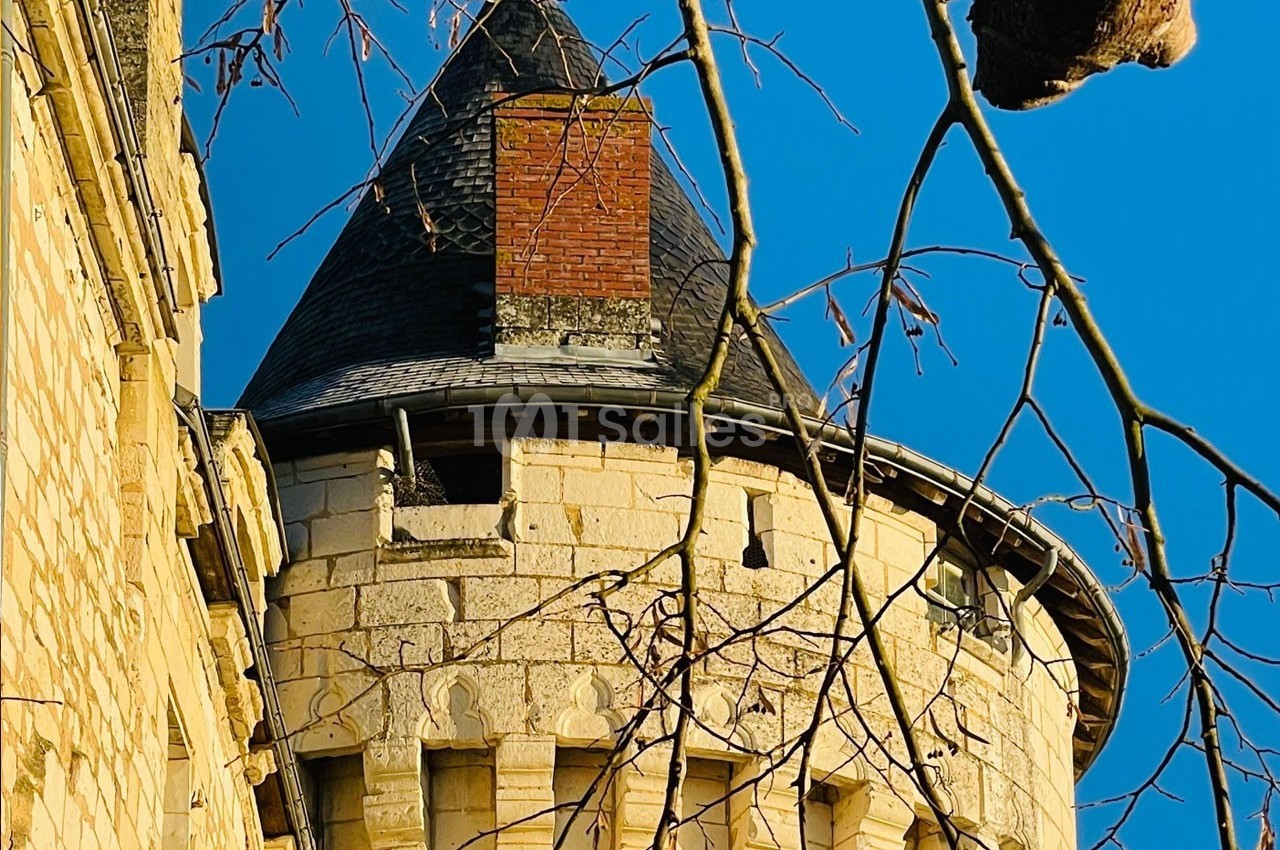 Tour en pierre d'un château avec un toit conique, partiellement encadrée par des branches d'arbres nues.