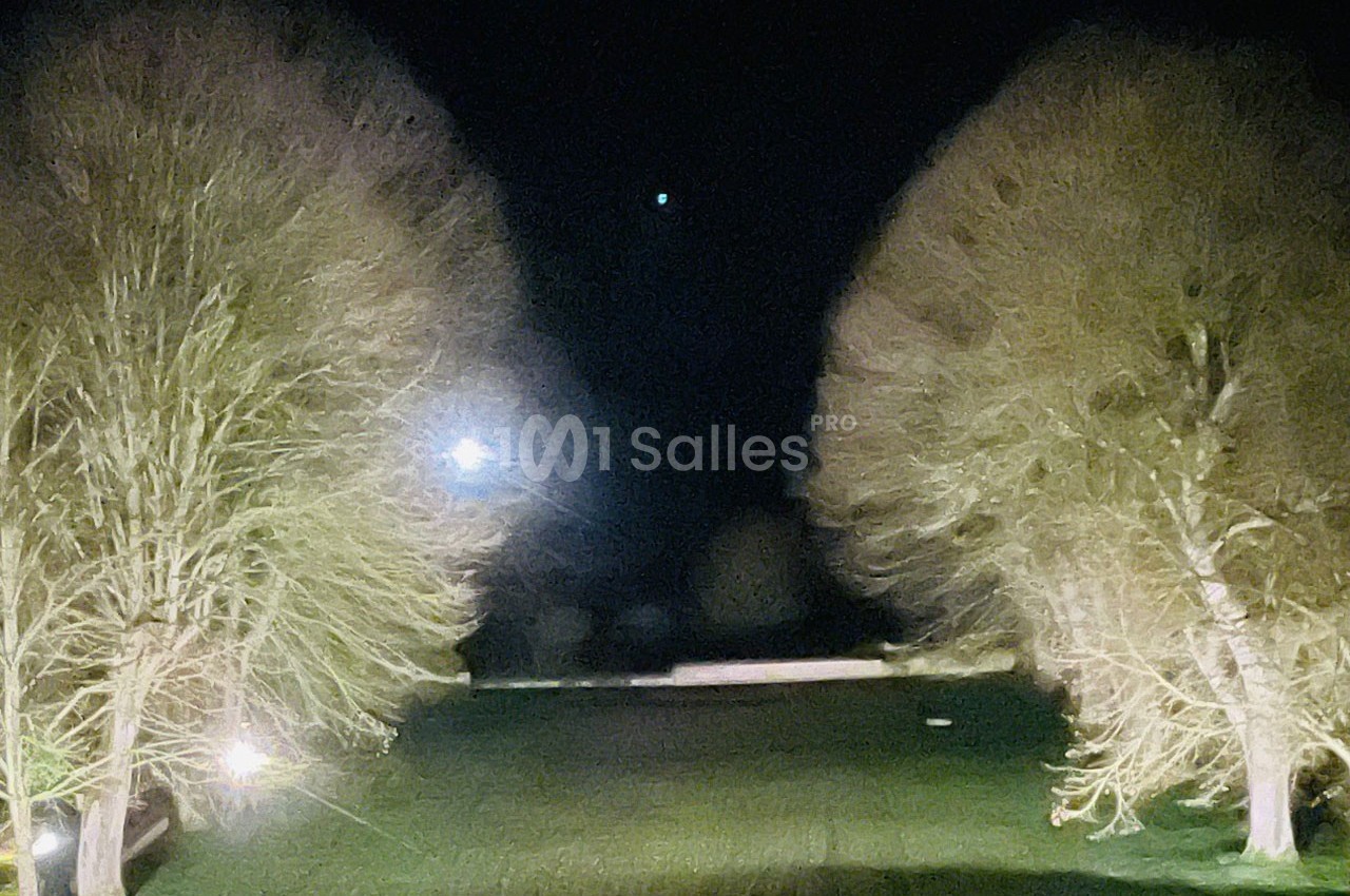 Vue nocturne d'un parc avec deux grands arbres éclairés, une pelouse centrale et un point lumineux dans le ciel.