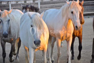 Mas De La Comtesse - photo 4