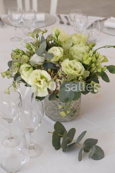 Domaine Du Château De Guitalens - galerie - photo 10