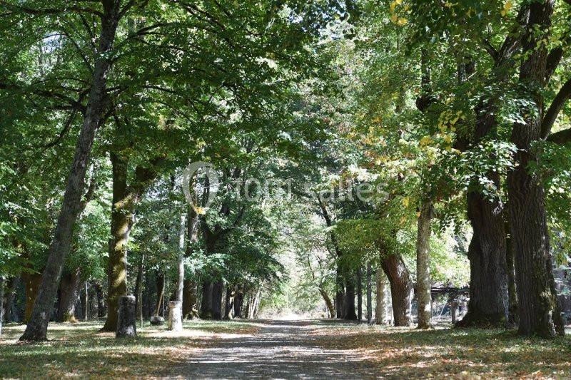 Domaine Du Château De Guitalens - galerie - photo 17