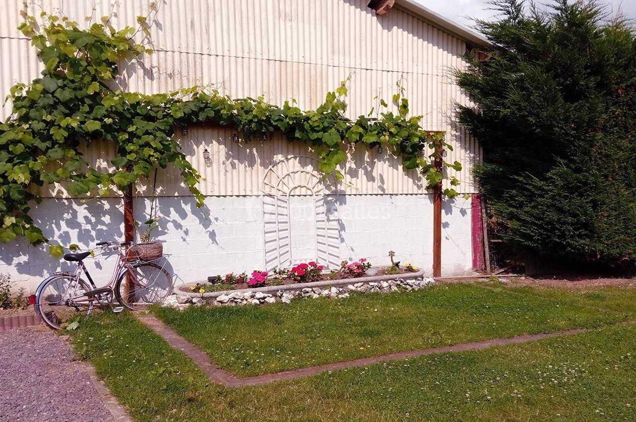 Location salle Beaudéduit (Oise) - LFK Réceptions #2 Un vélo ancien posé près d'un mur blanc orné de vigne grimpante et d'un parterre de fleurs colorées.
