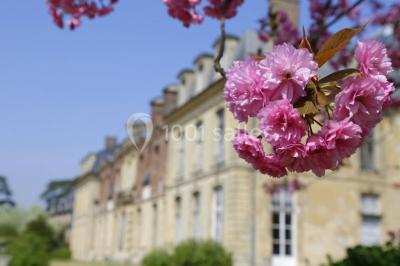 Miniature Location salle Thoiry (Yvelines) - L'Orangerie du Château de Thoiry #8 Peinture de mains et flèche blanche sur un tronc d'arbre dans un parc enneigé, avec des arbres en arrière-plan.